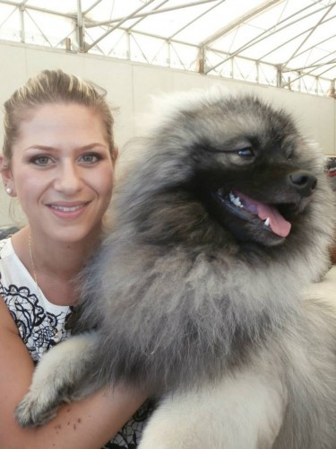 10369600_288401294665121_2216750087473178003_n