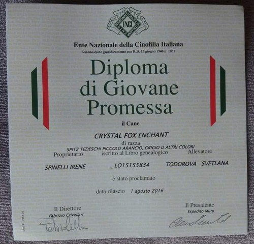 FB_IMG_1471384421814