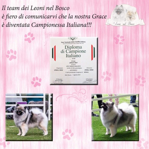 received_10206862842189505